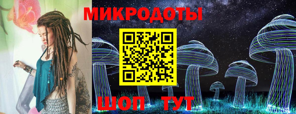 Псилоцибиновые грибы Cubensis Евпатория