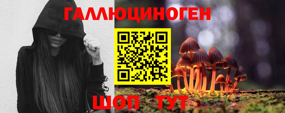 Псилоцибиновые грибы прущие грибы  Вход с VPN  Евпатория  Галлюциногенные грибы MAGIC MUSHROOMS 